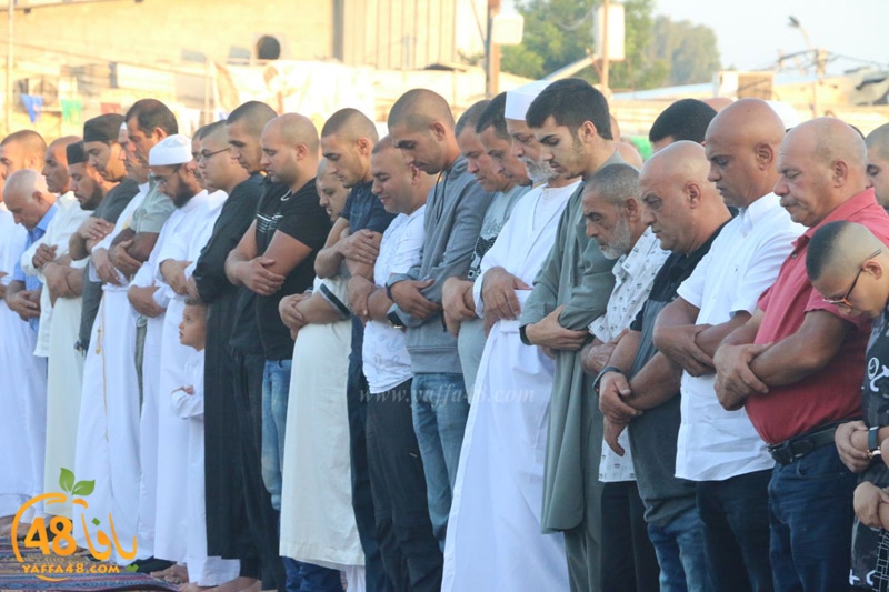 lud sooq salt 3eid (84).jpg